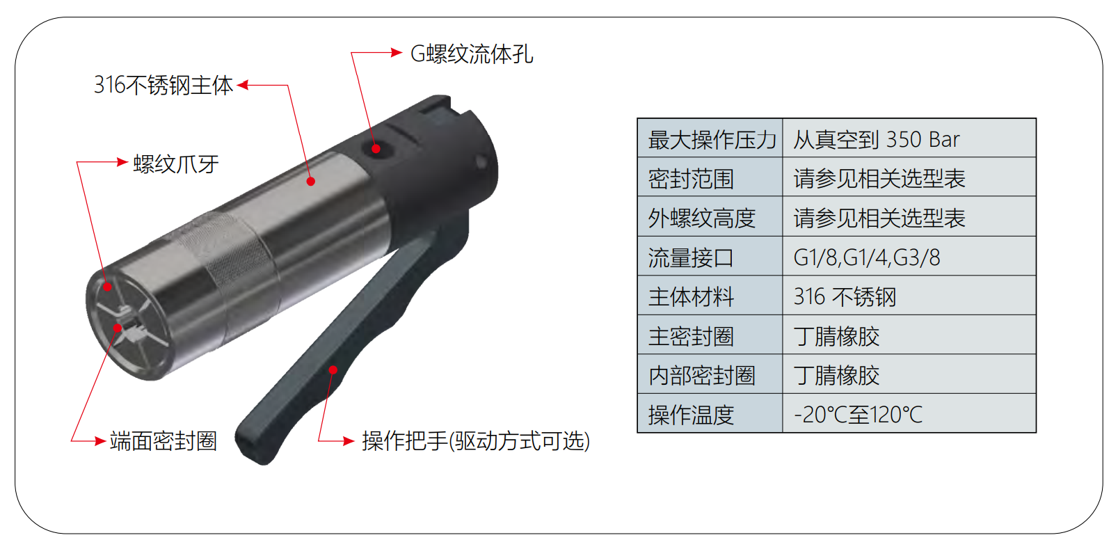 G85系列高壓外螺紋密封測(cè)試接頭